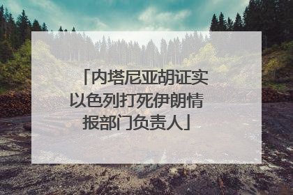 内塔尼亚胡证实以色列打死伊朗情报部门负责人