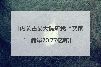 内蒙古最大碱矿找“买家” 储量20.77亿吨