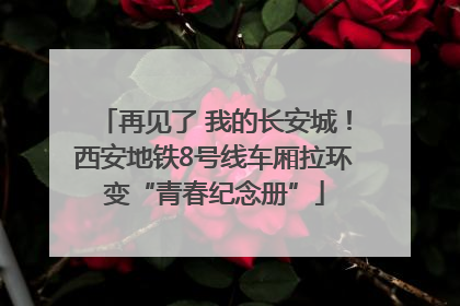 再见了 我的长安城！西安地铁8号线车厢拉环变“青春纪念册”