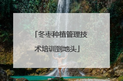 冬枣种植管理技术培训到地头