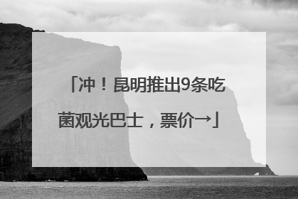 冲！昆明推出9条吃菌观光巴士，票价→
