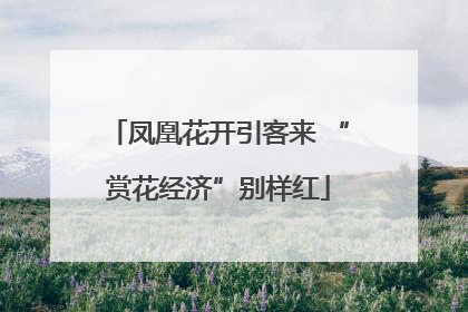 凤凰花开引客来 “赏花经济”别样红