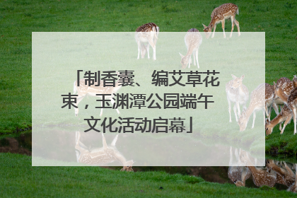 制香囊、编艾草花束，玉渊潭公园端午文化活动启幕