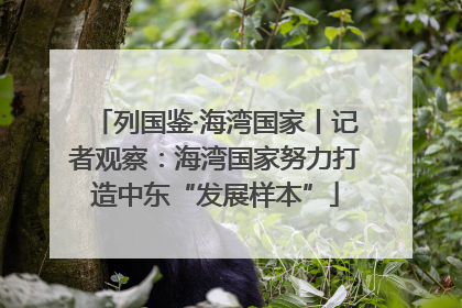 列国鉴·海湾国家丨记者观察：海湾国家努力打造中东“发展样本”