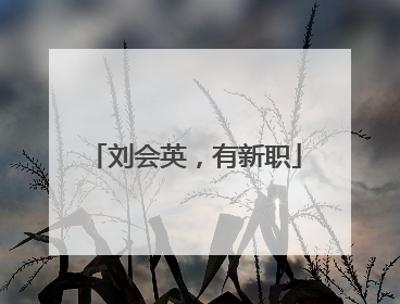 刘会英，有新职