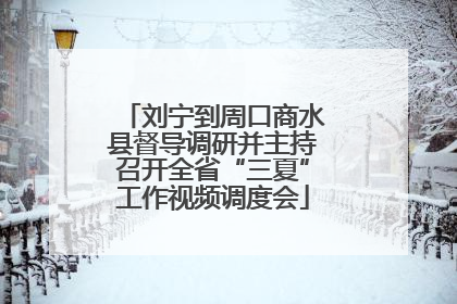 刘宁到周口商水县督导调研并主持召开全省“三夏”工作视频调度会