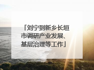 刘宁到新乡长垣市调研产业发展、基层治理等工作