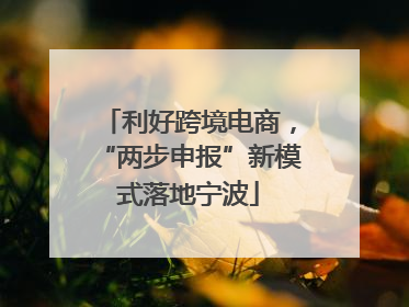 利好跨境电商，“两步申报”新模式落地宁波