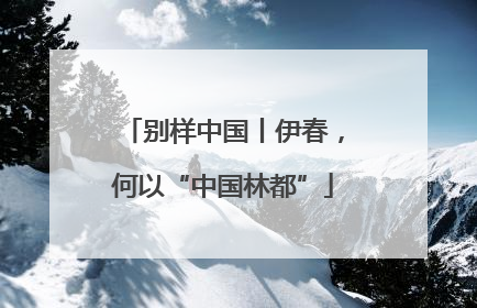 别样中国丨伊春，何以“中国林都”