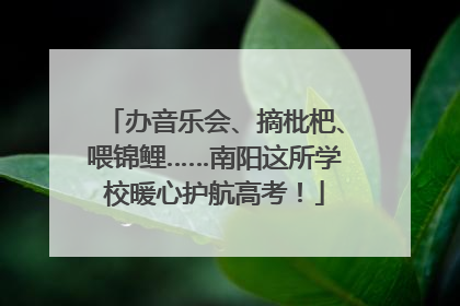 办音乐会、摘枇杷、喂锦鲤……南阳这所学校暖心护航高考！
