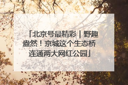 北京号最精彩｜野趣盎然！京城这个生态桥连通两大网红公园