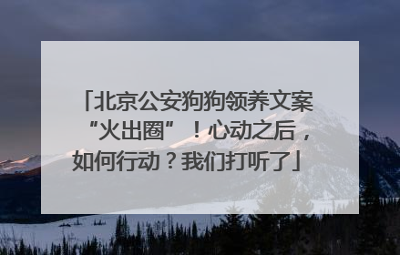 北京公安狗狗领养文案“火出圈”！心动之后，如何行动？我们打听了