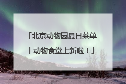 北京动物园夏日菜单丨动物食堂上新啦！