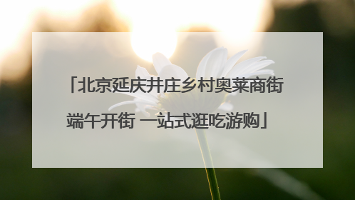北京延庆井庄乡村奥莱商街端午开街 一站式逛吃游购