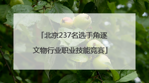 北京237名选手角逐文物行业职业技能竞赛
