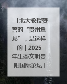 北大教授赞誉的“贵州鱼龙”，是这样的｜2025年生态文明贵阳国际论坛