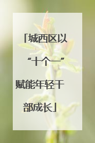 城西区以“十个一”赋能年轻干部成长