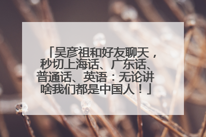 吴彦祖和好友聊天，秒切上海话、广东话、普通话、英语：无论讲啥我们都是中国人！