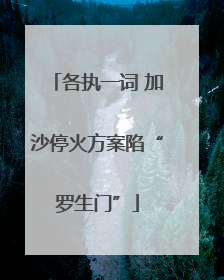 各执一词 加沙停火方案陷“罗生门”