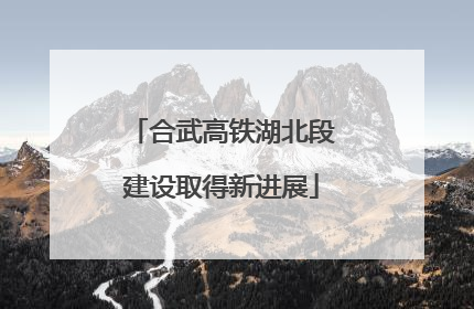 合武高铁湖北段建设取得新进展