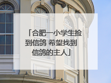 合肥一小学生捡到信鸽 希望找到信鸽的主人
