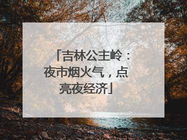 吉林公主岭：夜市烟火气，点亮夜经济