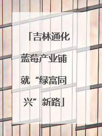 吉林通化蓝莓产业铺就“绿富同兴”新路