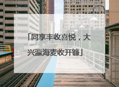 同享丰收喜悦，大兴瀛海麦收开镰