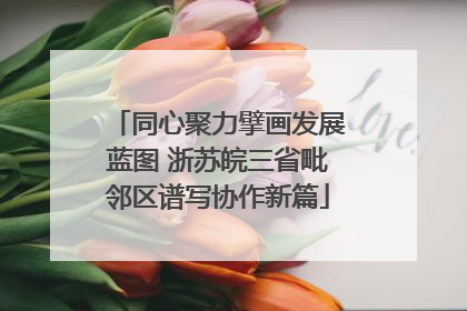 同心聚力擘画发展蓝图 浙苏皖三省毗邻区谱写协作新篇