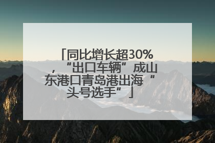 同比增长超30%，“出口车辆”成山东港口青岛港出海“头号选手”
