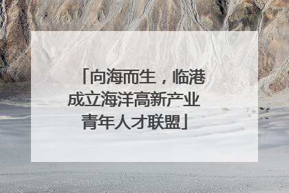 向海而生，临港成立海洋高新产业青年人才联盟