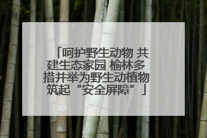 呵护野生动物 共建生态家园 榆林多措并举为野生动植物筑起“安全屏障”