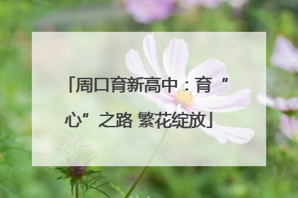 周口育新高中：育“心”之路 繁花绽放