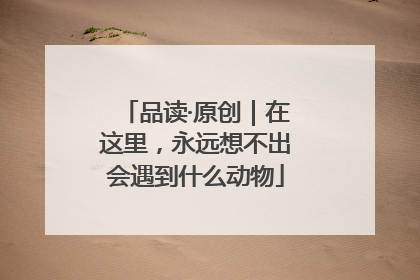 品读·原创｜在这里，永远想不出会遇到什么动物
