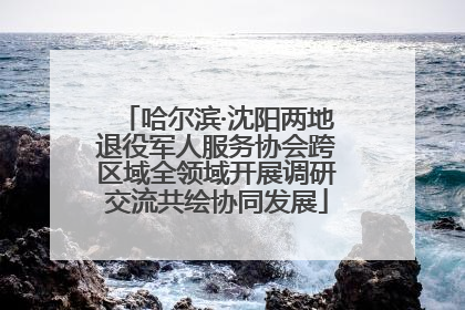 哈尔滨·沈阳两地退役军人服务协会跨区域全领域开展调研交流共绘协同发展