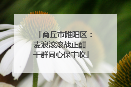 商丘市睢阳区：麦浪滚滚战正酣 干群同心保丰收