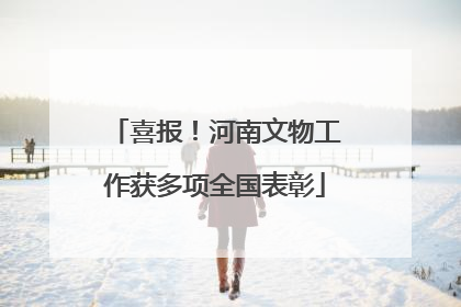 喜报！河南文物工作获多项全国表彰