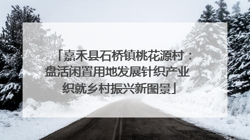 嘉禾县石桥镇桃花源村：盘活闲置用地发展针织产业 织就乡村振兴新图景