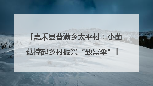 嘉禾县普满乡太平村：小菌菇撑起乡村振兴“致富伞”