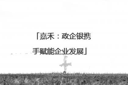 嘉禾：政企银携手赋能企业发展