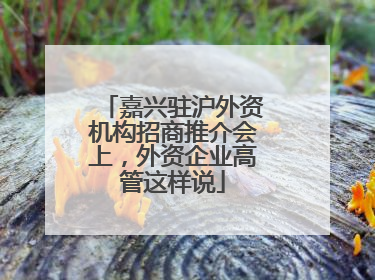 嘉兴驻沪外资机构招商推介会上，外资企业高管这样说