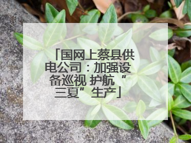 国网上蔡县供电公司：加强设备巡视 护航“三夏”生产