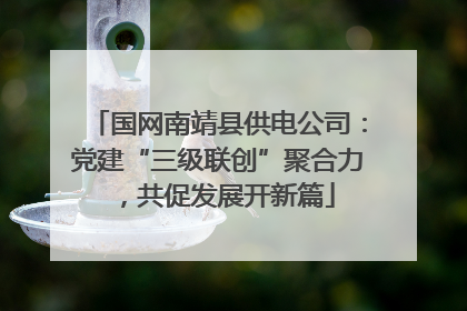 国网南靖县供电公司：党建“三级联创”聚合力，共促发展开新篇