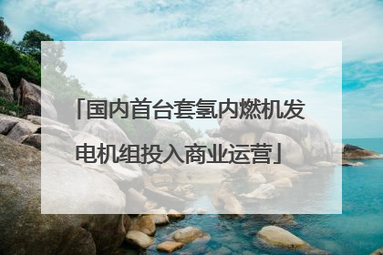 国内首台套氢内燃机发电机组投入商业运营