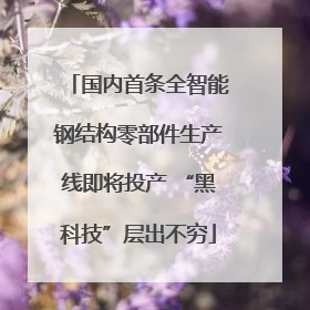 国内首条全智能钢结构零部件生产线即将投产 “黑科技”层出不穷