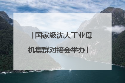 国家级沈大工业母机集群对接会举办