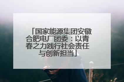 国家能源集团安徽合肥电厂团委：以青春之力践行社会责任与创新担当