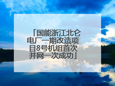 国能浙江北仑电厂一期改造项目8号机组首次并网一次成功
