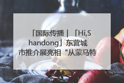 国际传播｜「Hi,Shandong」东营城市推介展亮相“从蒙马特到加里波第”文化节