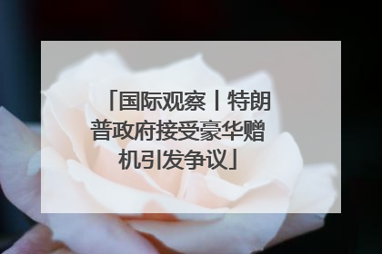 国际观察丨特朗普政府接受豪华赠机引发争议